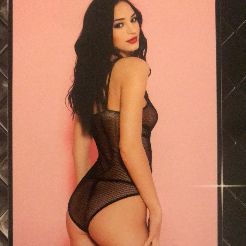 Fishnet teddy - Picture 3 of 4